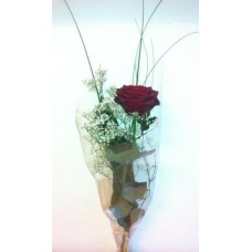 Single Red Rose
